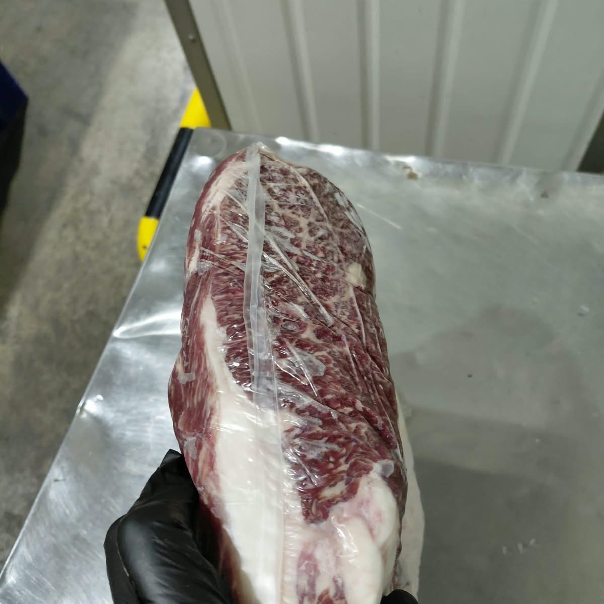 Chuckrib Boneless MS6-9 Wagyu Friboi Black Takumi