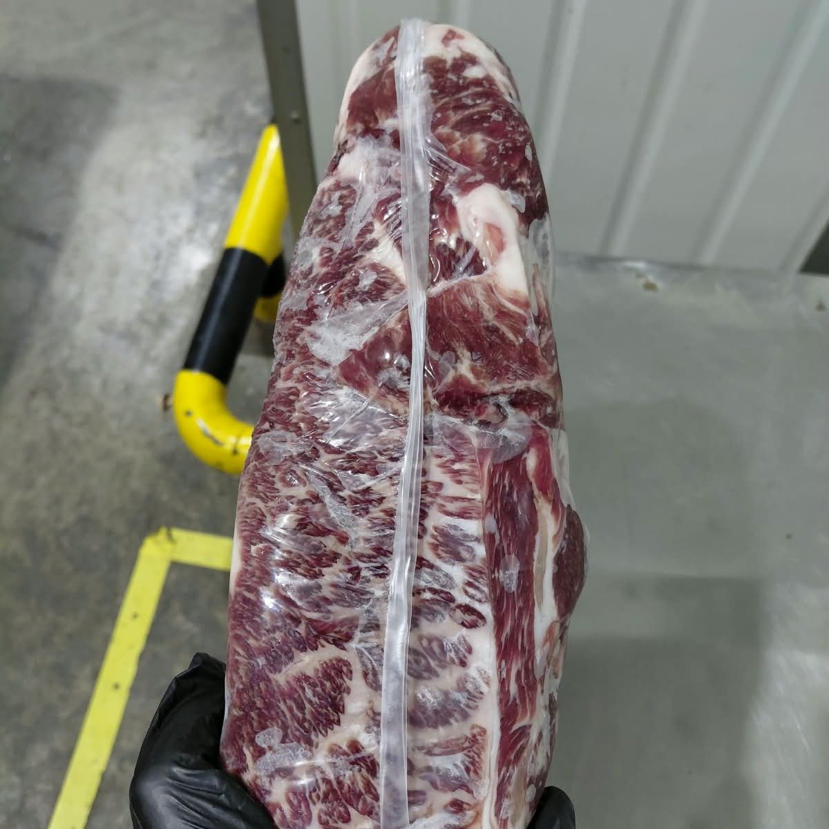 Chuckrib Boneless MS6-9 Wagyu Friboi Black Takumi