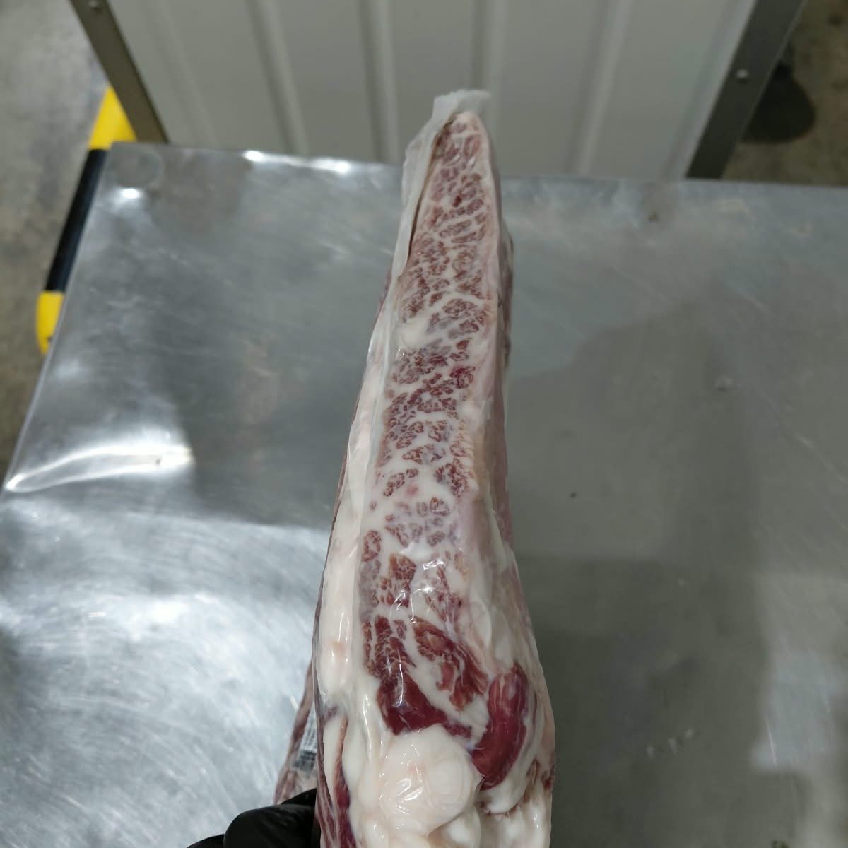 Chuckrib Boneless MS6-9 Wagyu Friboi Black Takumi