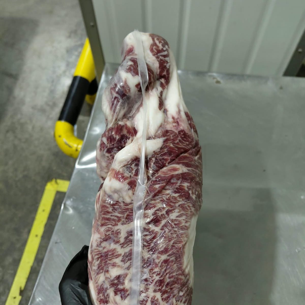 Chuckrib Boneless MS6-9 Wagyu Friboi Black Takumi