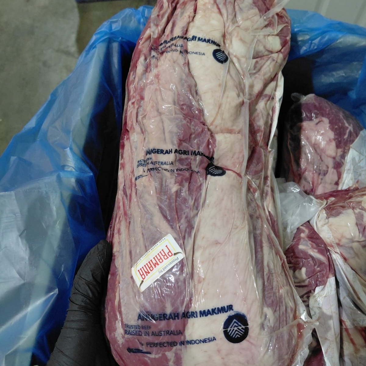 Ribeye Grain fed AAM